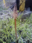 200903131225000.jpg