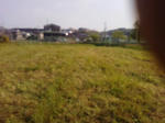 8a7126dd.jpg