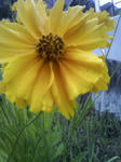 200905281151000.jpg
