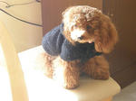 PC200223.JPG
