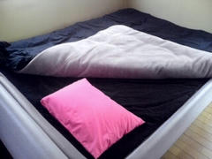DSC00053.JPG