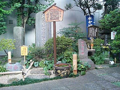 DSC00075.JPG