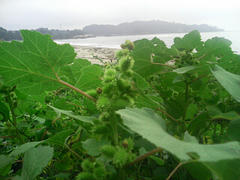 DSC00083.JPG