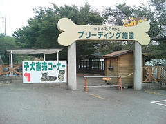 DSC00129.JPG