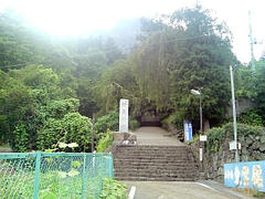 DSC00132.JPG