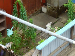 DSC02412.jpg