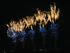 DSC02513.jpg