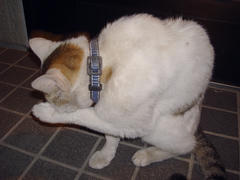 DSC02218.jpg