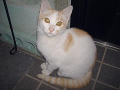 DSC02900.jpg