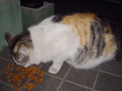 DSC03240.jpg