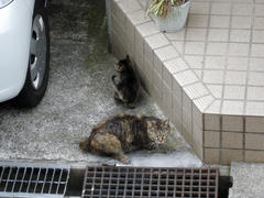 DSC03325.jpg