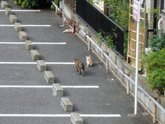 DSC03326.jpg
