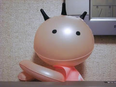 DSC03477.jpg