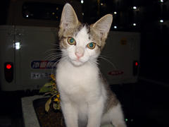 DSC03561.jpg