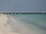 IMG_4545.JPG