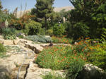 IMG_4763.JPG