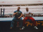 cat20039.jpg