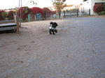 081121run2.JPG