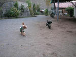081121run3.JPG