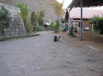 081121run4.JPG