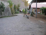 081121run5.JPG