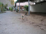 081121run6.JPG