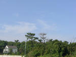 CIMG0114.JPG