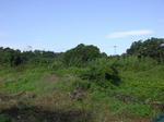 CIMG0115.JPG