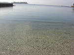 CIMG0116.JPG