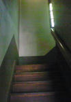 NEC_0046.JPG