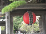 CIMG0565.JPG