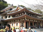 CIMG0567.JPG