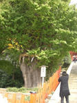 CIMG0585.JPG