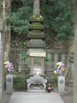 CIMG0601.JPG