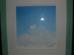 CIMG0639.JPG