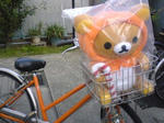 rirahalo.jpg