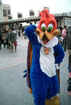 usj1.jpg