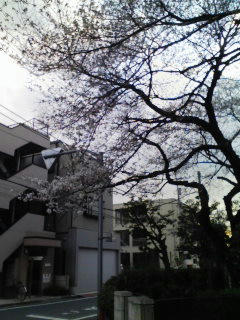 080325_1654~02.jpg