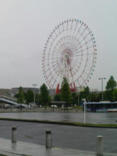 080612_1434~01.jpg