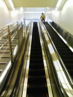 080615_1749~01.jpg