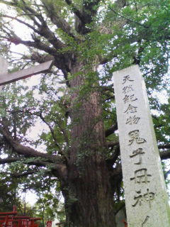 080615_1701~01.jpg