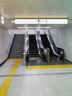 080615_1811~01.jpg