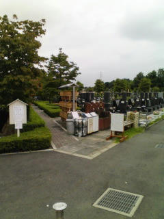 080817_1320~01.jpg
