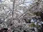 P1010008.JPG