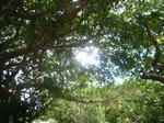 RIMG0053.JPG
