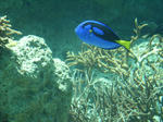 RIMG0077.JPG