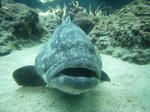 RIMG0084.JPG