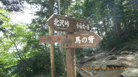 IMGP0040.JPG