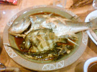 201109181950001.jpg