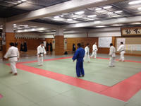 new_tatami.JPG